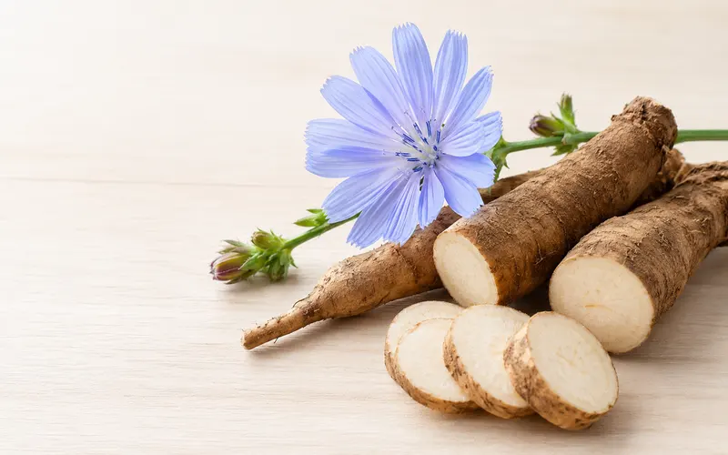 Chicory root, source of inulin